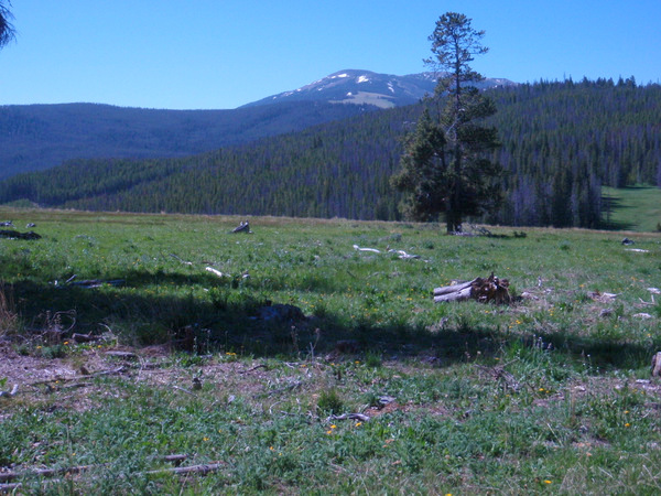 Looking North; Mt Fleecer is getting closer.